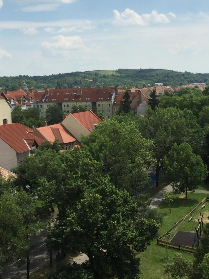 Déli oldal Vendégház Eger Exterior foto